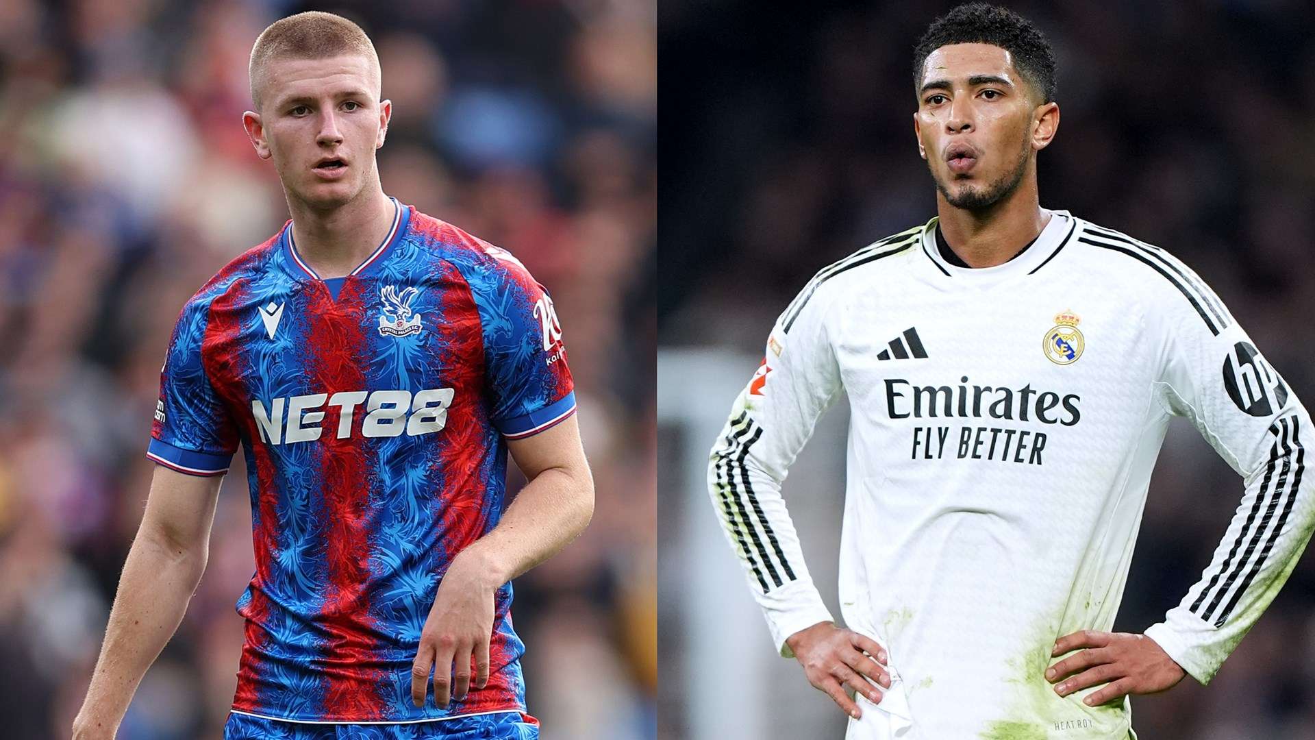 行严格的 行严格的