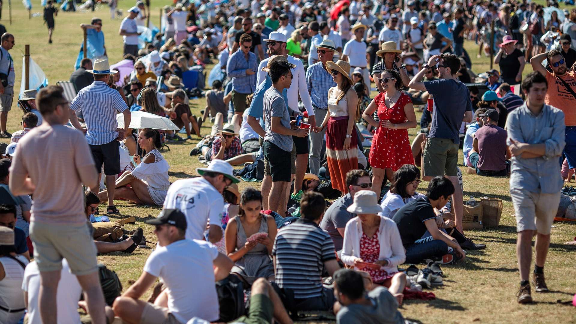 整體戰術素 整體戰術素