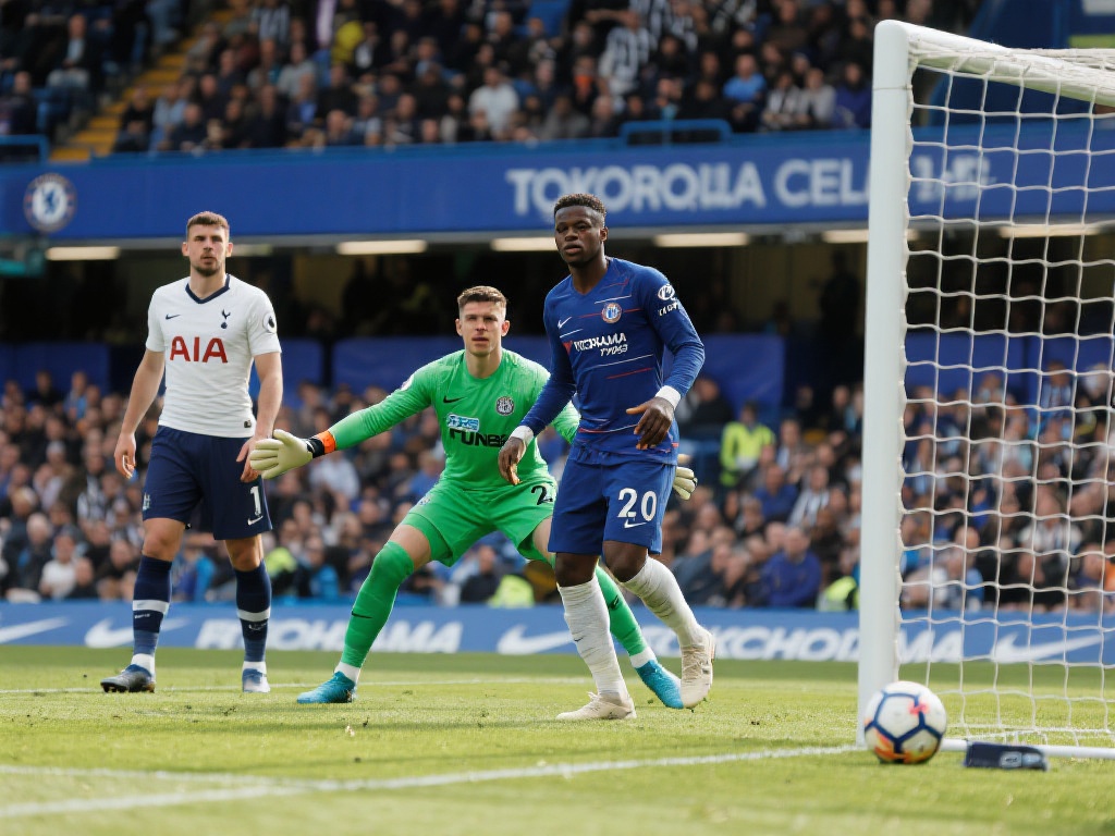 的光芒似乎 的光芒似乎